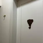 Bamboo Apartment