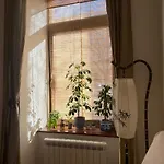 Apartment Bamboo *