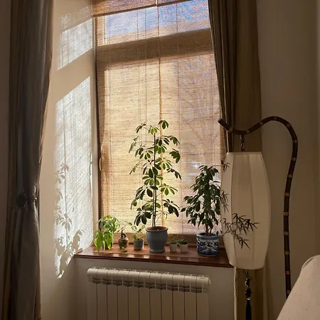 Διαμέρισμα Bamboo *